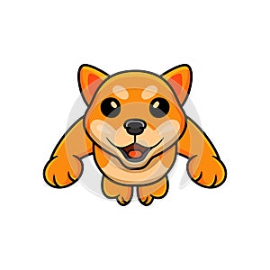 Cute shiba inu dog cartoon jumping
