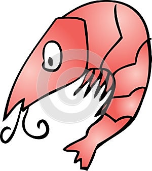Cute shrimp