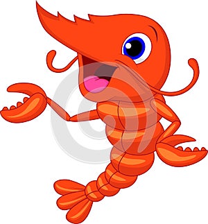 Cute shrimp cartoon presenting