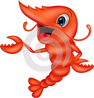 Cute shrimp cartoon presenting