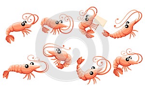 Cute shrimp set. Cartoon animal character design. Swimming crustaceans icon collection. Flat vector illustration isolated on white