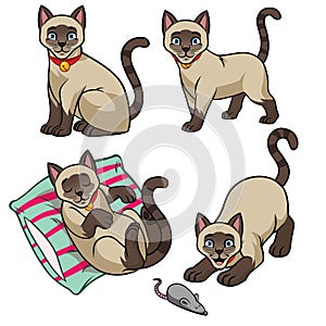 Cute siamese cat set