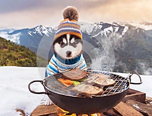 Cute Siberian Husky Boy Grilling Steaks at the Snow Mountain Campsite