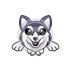 Cute siberian husky dog cartoon jumping