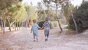Cute siblings , holding hands and walking in the park. Back view slow motion. Toddler looking back