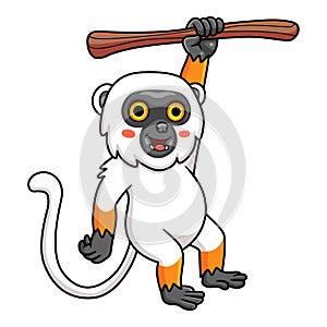 Cute sifaka lemur monkey cartoon hanging on tree