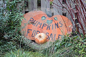 Cute sign at a fall pumpkin patch