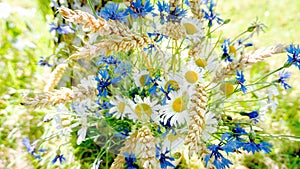 Cute simple bouquet of wildflowers on a background of birch bark. A bouquet of cornflowers, chamomile, daisies and wheat ears in a