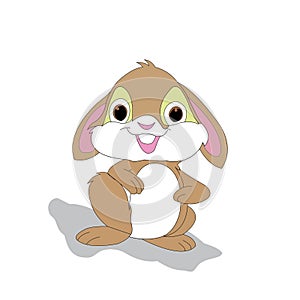 Cute and simple rabbit illustration on white backg