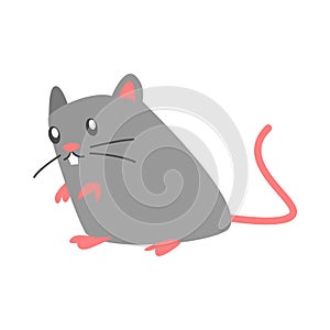 cute single rat in flat cartoon style. mice, mouse, animal, rodent. vector graphic.
