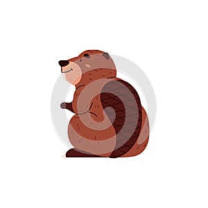 Cute sitting beaver flat style, vector illustration