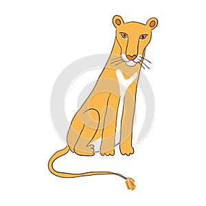 Cute sitting lioness hand drawn illustration.