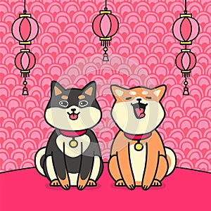 Cute sitting two shiba inu dogs & flashlights vector.