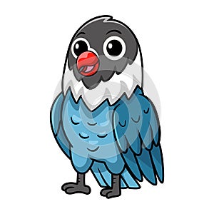 Cute slaty blue love bird cartoon