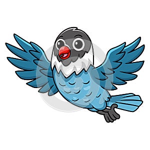 Cute slaty blue love bird cartoon flying