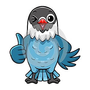 Cute slaty blue love bird cartoon giving thumb up