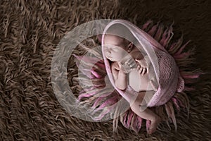 Cute sleeper newborn baby girl in pink cap on wool