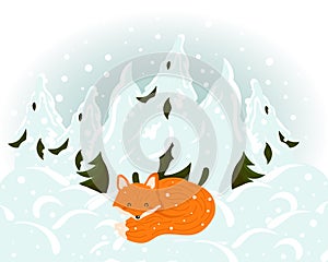 A cute sleeping fox in the background of a winter snowy forest. Illustration, children's print vector