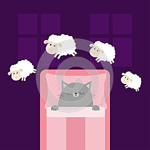 Cute sleeping gray cat. Jumping sheeps. Cant sleep going to bed concept. Counting sheep. Animal set. Blanket pillow room two windo