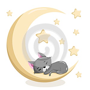 Cute sleeping kitten on the moon