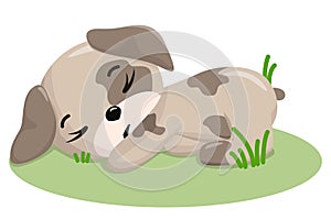 Cute sleeping puppy. Funny illustration of a sleeping dog. Dog's Baby