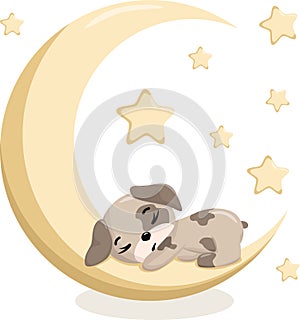 Cute sleeping puppy. Funny illustration of a sleeping dog. Dog's Baby