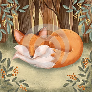 Cute sleeping red fox character