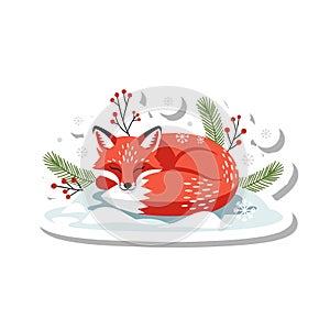 Cute Sleeping Winter Fox Illustration