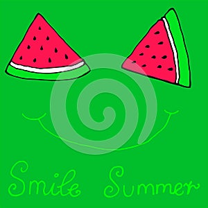 Cute sliced slices watermelon smile,winking, isolated green bac