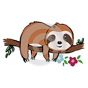 Cute sloth on the branch