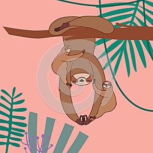 Cute sloth family characters