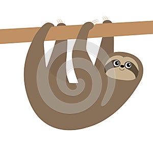 Cute sloth hanging on tree branch icon. Cartoon kawaii baby character. Wild jungle animal collection. Kids education. Isolated.