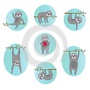 Cute sloth vector illustrations