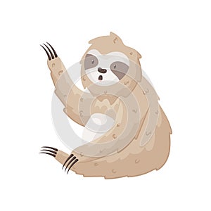Cute sloth waves paw hello sitting on the ground. Cartoon with animal isolated on white background