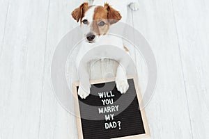 Cute small dog with a weeding ring on his head and a vintage letter board with message: will you marry my dad? Wedding concept.
