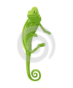 Cute small green chameleon lizard cartoon animal design flat vector illustration isolated on white background