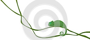 Cute small green chameleon lizard cartoon animal sits on long branch or liana isolated on white