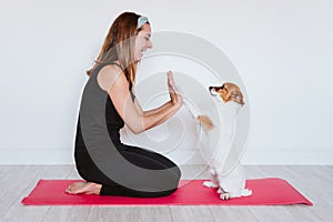 Cute small jack russell dog lying on a yoga mat at home with her owner woman. Healthy lifestyle indoors