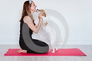 Cute small jack russell dog lying on a yoga mat at home with her owner woman. Healthy lifestyle indoors