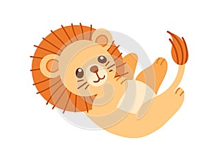 Cute small lion cartoon animal design vector illustration isolated on white background