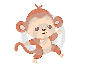 Cute small monkey cartoon animal design vector illustration isolated on white background