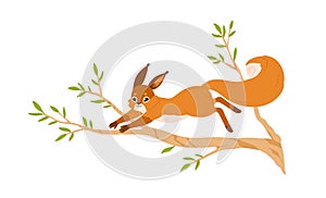 Cute small squirrel jumping on tree branch. Happy forest rodent with bushy tail on sprig. Adorable funny wild animal on