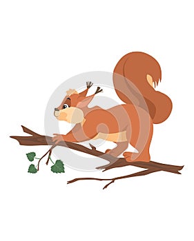 Cute small squirrel jumping on tree branch vector