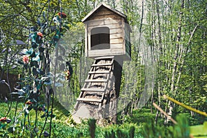 Cute small wooden dogs House in a garden with stairs