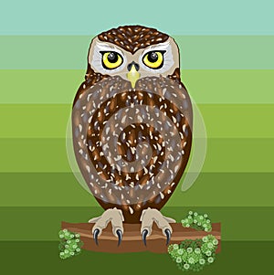 Cute smart owl illustration