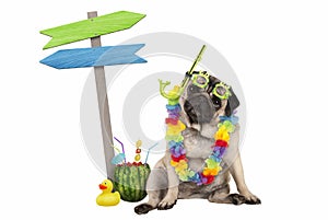 Cute smart pug puppy dog sitting down with watermelon cocktail, wearing hawaiian flower garland, goggles and snorkel, next to wood