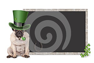 Cute smart pug puppy dog with st. patrick`s day hat and pipe sitting next to blank blackboard sign with shamrock and horseshoe