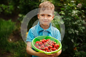 Cute smile boy with basket of strawberry in suummer day.