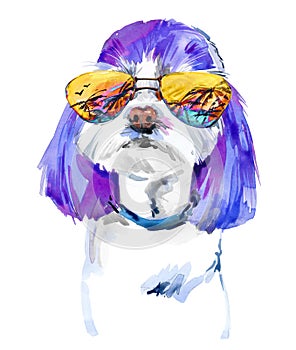 Cute smile dog watercolor illustration. Maltese breed