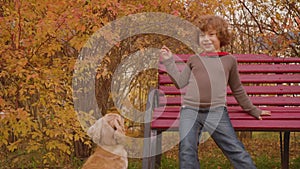 Cute smiling boy feeding dog in park